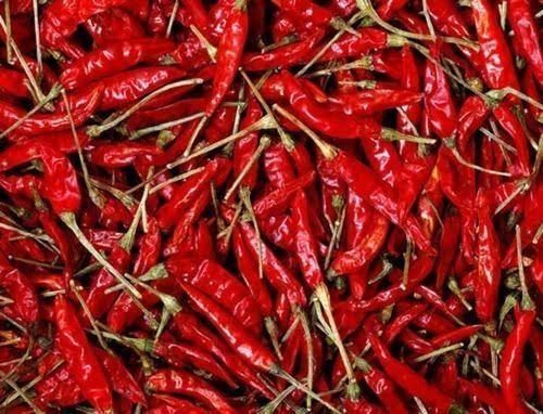 Rich In Aroma And Savoury Flavor Chemical Free Finger Fresh Red Chilli