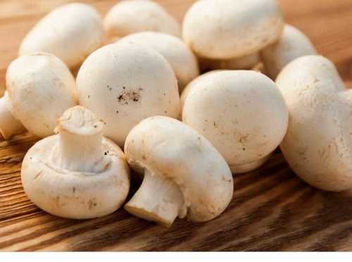 White Button Mushroom For Cooking And Oil Extraction(Vitamin B6)