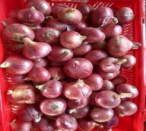 A Grade 100% Pure Fresh And Natural Healthy Rich In Vitamins Red Fresh Onion