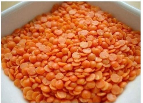 Dried And Cleaned Rich Protein Values Organic Masoor Dal 