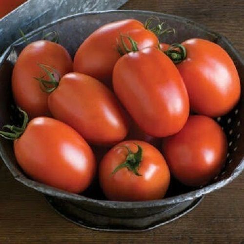 Enriched With Vitamins, Iron And Potassium Healthy Natural Fresh Red Tomato