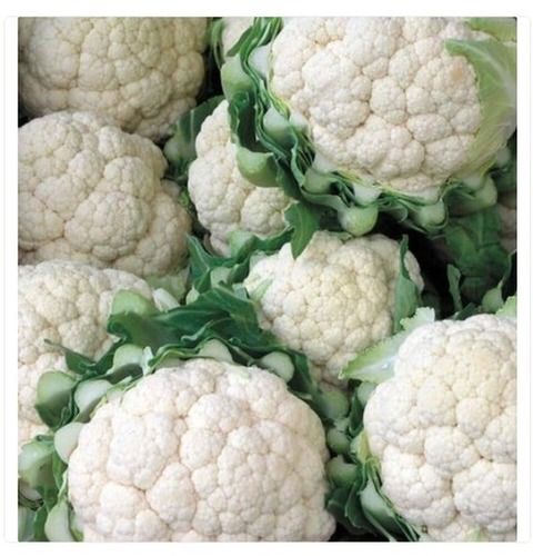 Fresh And Organic Tree Shape Cauliflower Vegetable