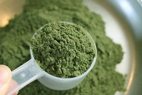 Hygienically Packed Moringa Power, Grade Standard: Food Grade, For Personal And Medicinal Use Ingredients: Herbs