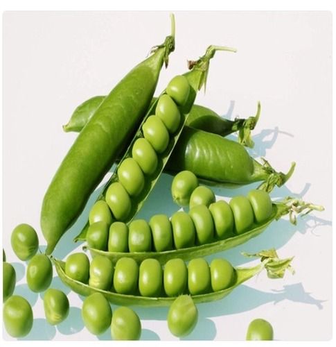 Natural And Farm Fresh Green Peas 