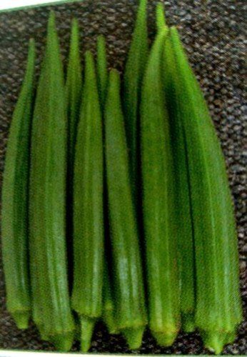 Natural Farm Fresh Green Lady Finger 