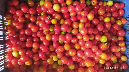 Cherry Tomatoes