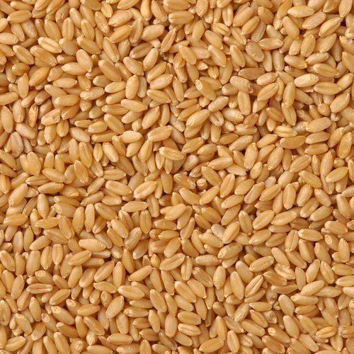 Graded, Sorted, Premium Quality Natural And Healthy Brown Milling Wheat