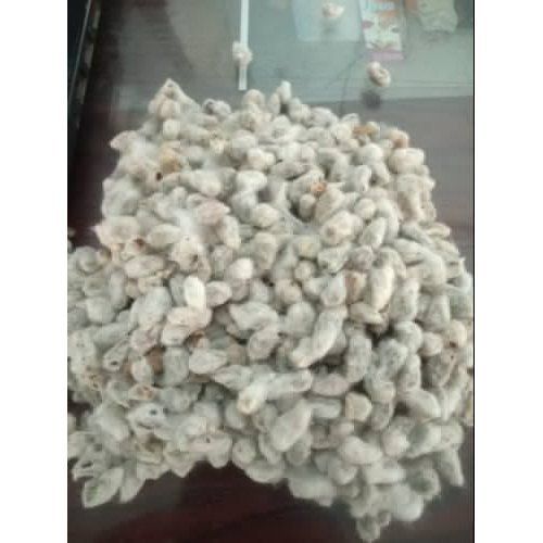 Well Cleaned Natural Pure Fresh High In Energy And Woolly Hairs White Cotton Seeds