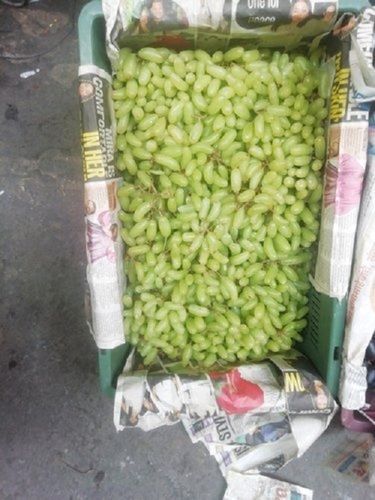 Resembling A Grade 100 Percent Pure Natural Sweet And Tasty Juicy Organic Fresh Green Grapes