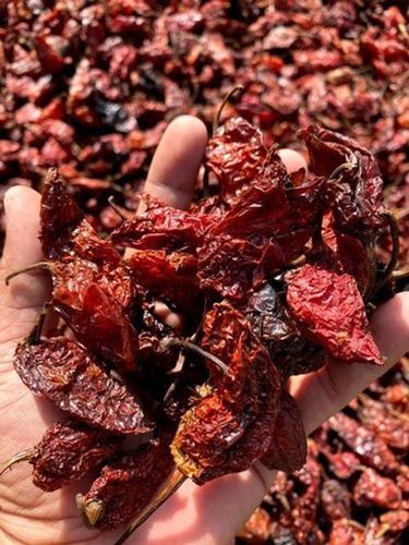 Fresh Red Assam Oven Dry Ghost Pepper With No Preservatives And Artificial Colors