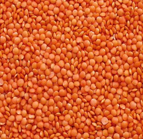 Masoor Dal (Red Lentils), Used In A Variety Of Popular Indian Dishes