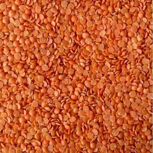 Rich In Proteins Fibers Highly Nutritious Chemical Free Unpolished Red Masoor Dal