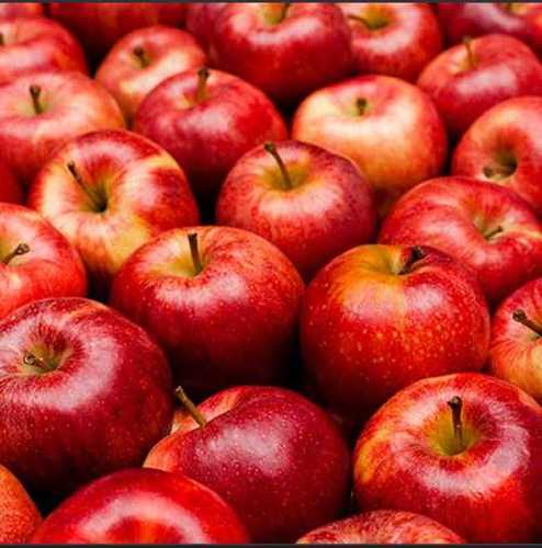 Good Source Of Vitamin C And Fiber 100% Natural Organic Fresh Red Apple