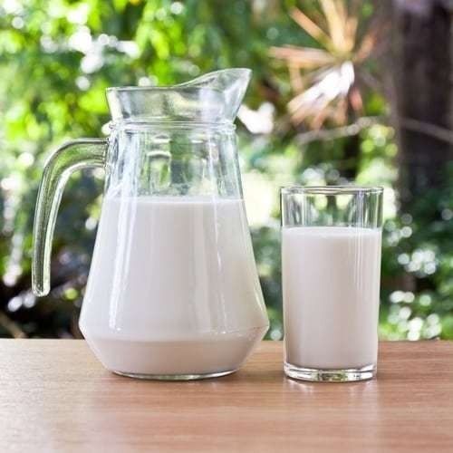 High In Protein Good For Health Pure And Organic Raw Cow Milk 