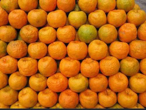 No Artificial Color Good For Health Pesticide Free 100% Natural Organic Fresh Orange