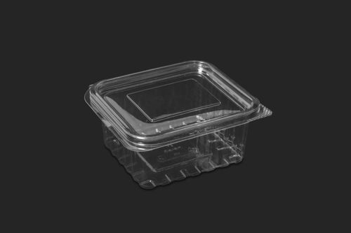 Rectangular Shape Plastic Ml Hinge Transparent Pet Packaging 250gm Boxes