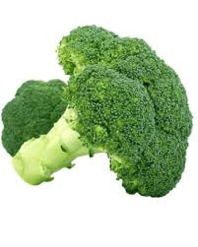 Rich Natural Taste Chemical Free Healthy To Eat Green Fresh Broccoli