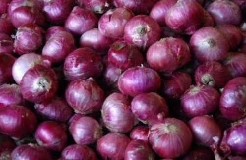 Rich Taste No Artificial Color Good For Health Pesticide Free Organic Fresh Red Onion