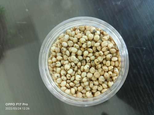 Samrat Pdm 139 5 Kilograms Moong Seed(High In Protein)