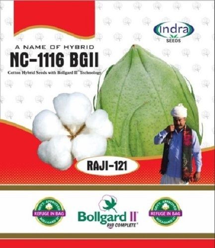 Anti Inflammatory Properties Natural Cotton Nc-1116 Bgii Hybrid Seeds Agriculture