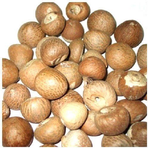 100% Organic Brown And Green Fresh Natural Areca Nut For Medicinal