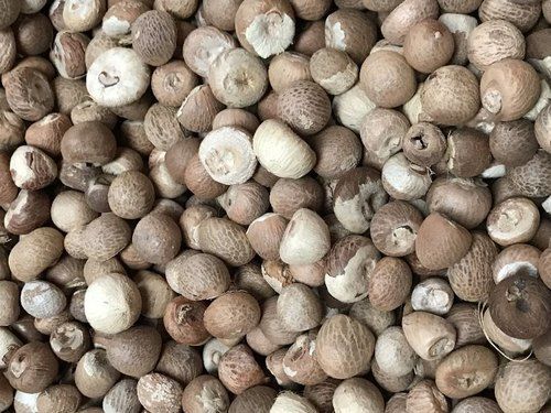 100% Organic Dried And Pure Natural White And Brown Color Arecanuts