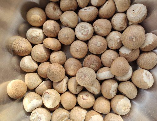 100% Pure And Organic Dried A Grade Vittla Quality Brown Areca Nuts