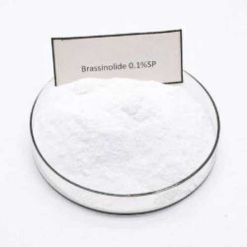 Brassinolide Sp Powder