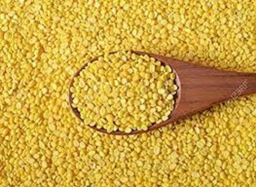 Gluten Free High Protein Organic Yellow Moong Dal  Grain Size: 3 Mm