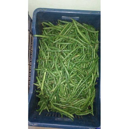  A Grade Pure Natural And Fresh Green Beans With Packaging Size: 5 Kg Packaging: Pack