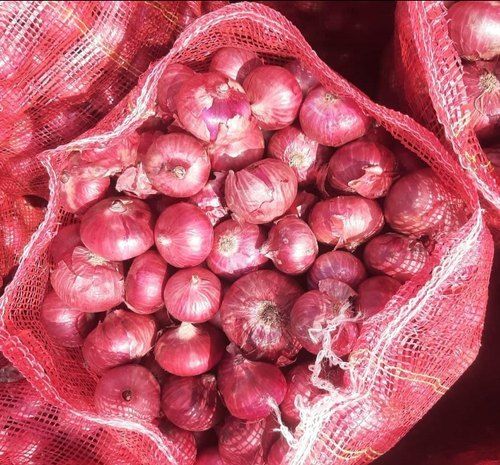 B Grade Rajasthan Bhima Raj Red Onion Organic Natural Healthy Delicious Flavour 