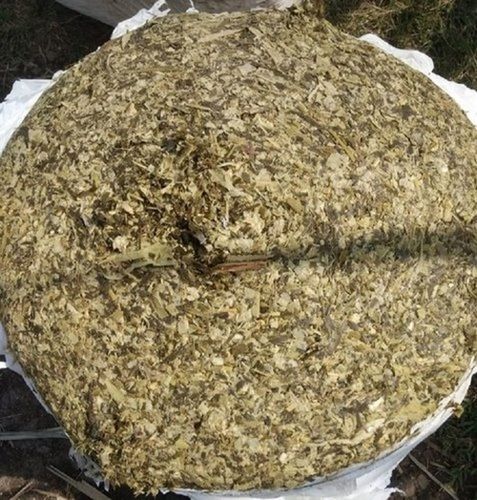 Brown Dried Feed Grade Corn Silage