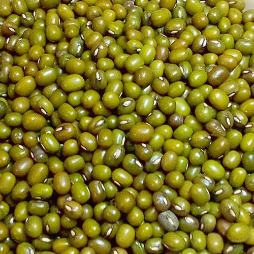 Common Raw And Natural Organic Pure Round Green Moong Dal With 12 Months Shelf Life