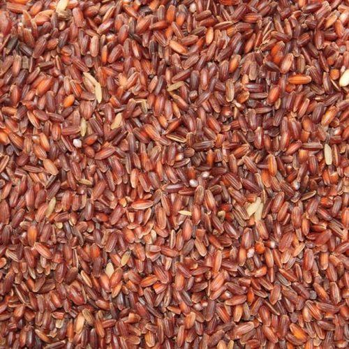  भारतीय मूल 100% शुद्धता वाला सामान्य प्रकार का सूखा मध्यम अनाज लाल चावल 