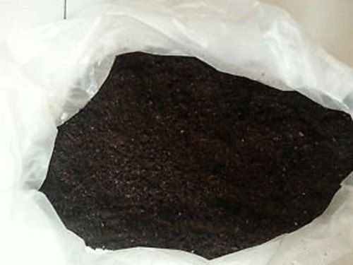 Black Useful In Healthier Plant Growth For Good Forming Organic Compost Fertilizer 