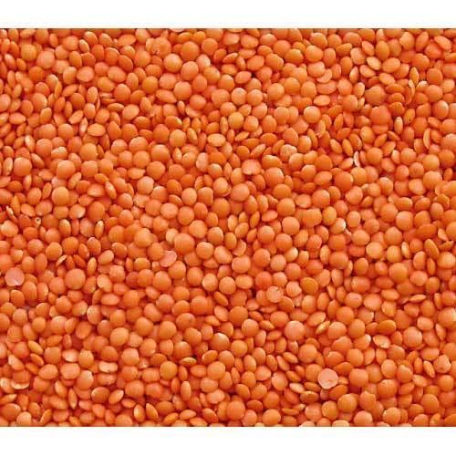 100% Organic A Grade Red Lal Masoor Dal For Cooking, High In Protein