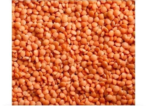 100% Organic Unpolished Masoor Dal With Tastier & Rich Flavour & Chemical Free