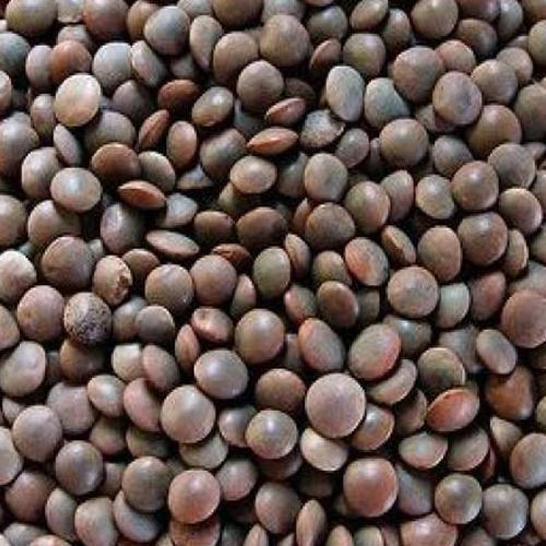 Black Highly Rich And Premium Quality Masoor Dal