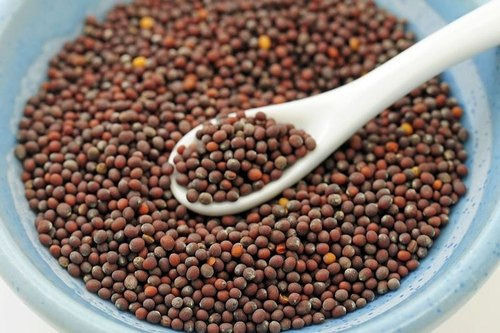 100 % Organic, Full Of Minerals And Vitamins Brown Mustard Seeds Packaging Size 1 Kg Admixture (%): 3%