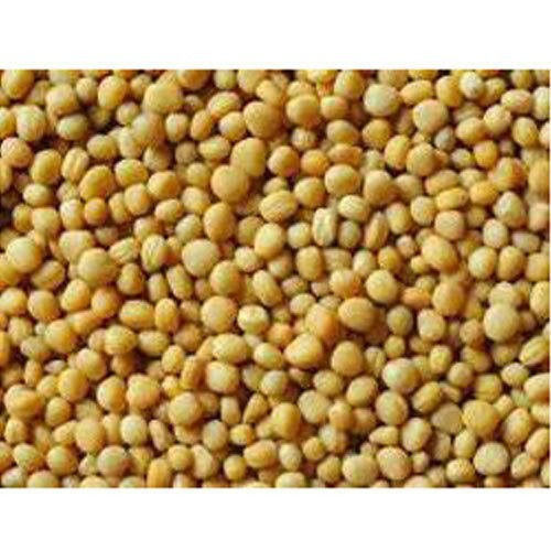 Pack Of 1 Kilogram Pure And Natural Yellow Mustard Seeds
