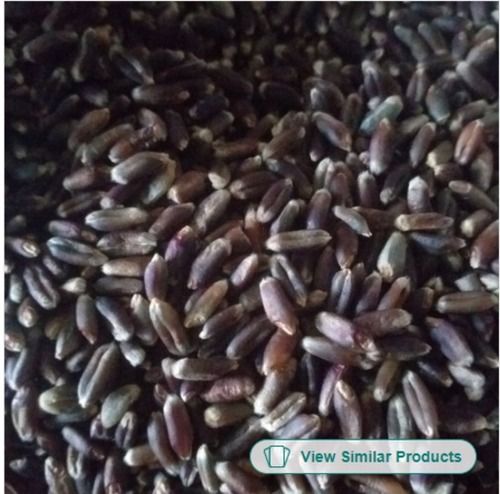 Rich In Dietary Fibres Gluten Free Sugar Free Nabi Certified Black Wheat Seed