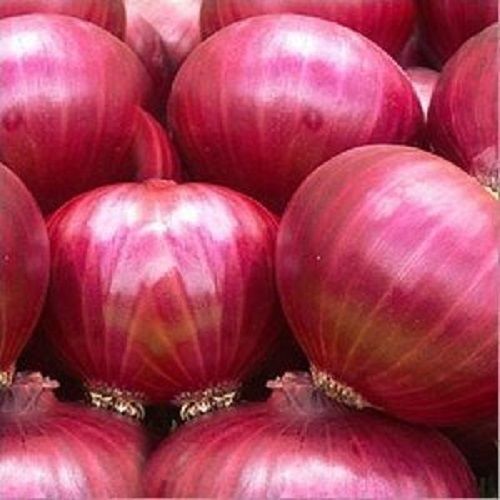 Round 100% Great Source Of Dietary Fiber And Healthy Digestion Natural Nutrient Rich Red Onion