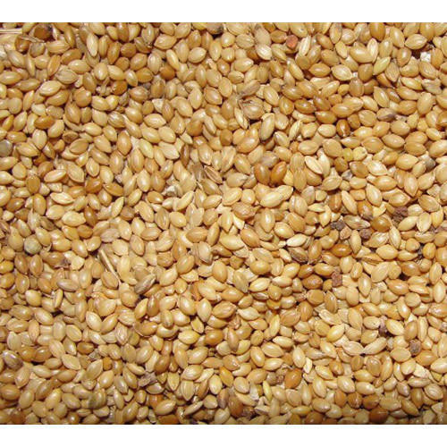 100% Pure Fresh Anti-Oxidants Nutrition Enriched Brown Organic Foxtail Millet Size: Small