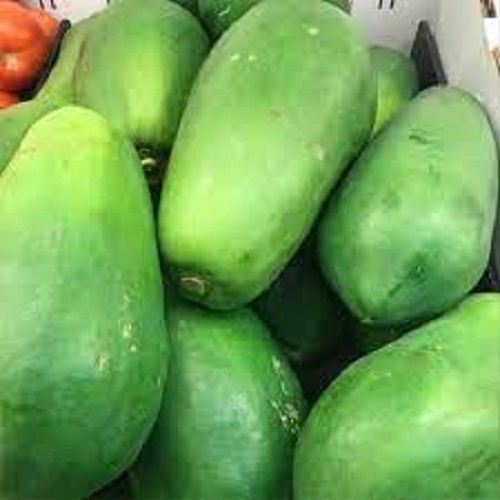 100% Rich In Vitamin C And Fiber Natural Nutrient Green Rich Raw Papaya