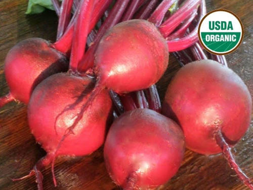 Beetroot Manufactures 