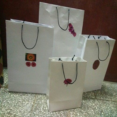 100% Eco-Friendly And Recycled White Printed Rope-Handled Paper Bags For Shopping Max Load: 5  Kilograms (Kg)