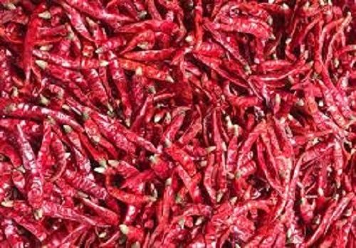 Natural And Fresh Unique Taste Dried Red No Added Preservative Spicy Chilli