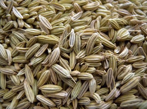 Rich Source Of Vitamins And Minerals Sweet And Savory Green Nt Fennel Seed Herb Grade: A