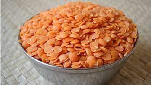  High In Protein And Fiber Fresh Spliited Lentils Orange Masoor Dal 