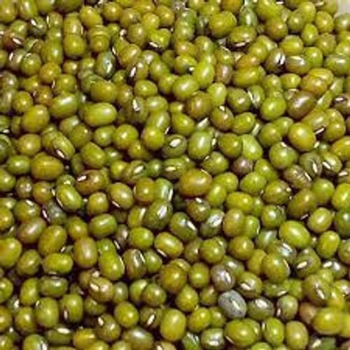 Rich In Fiber High Protein Organic Green Gram Crop Year: 6 Months